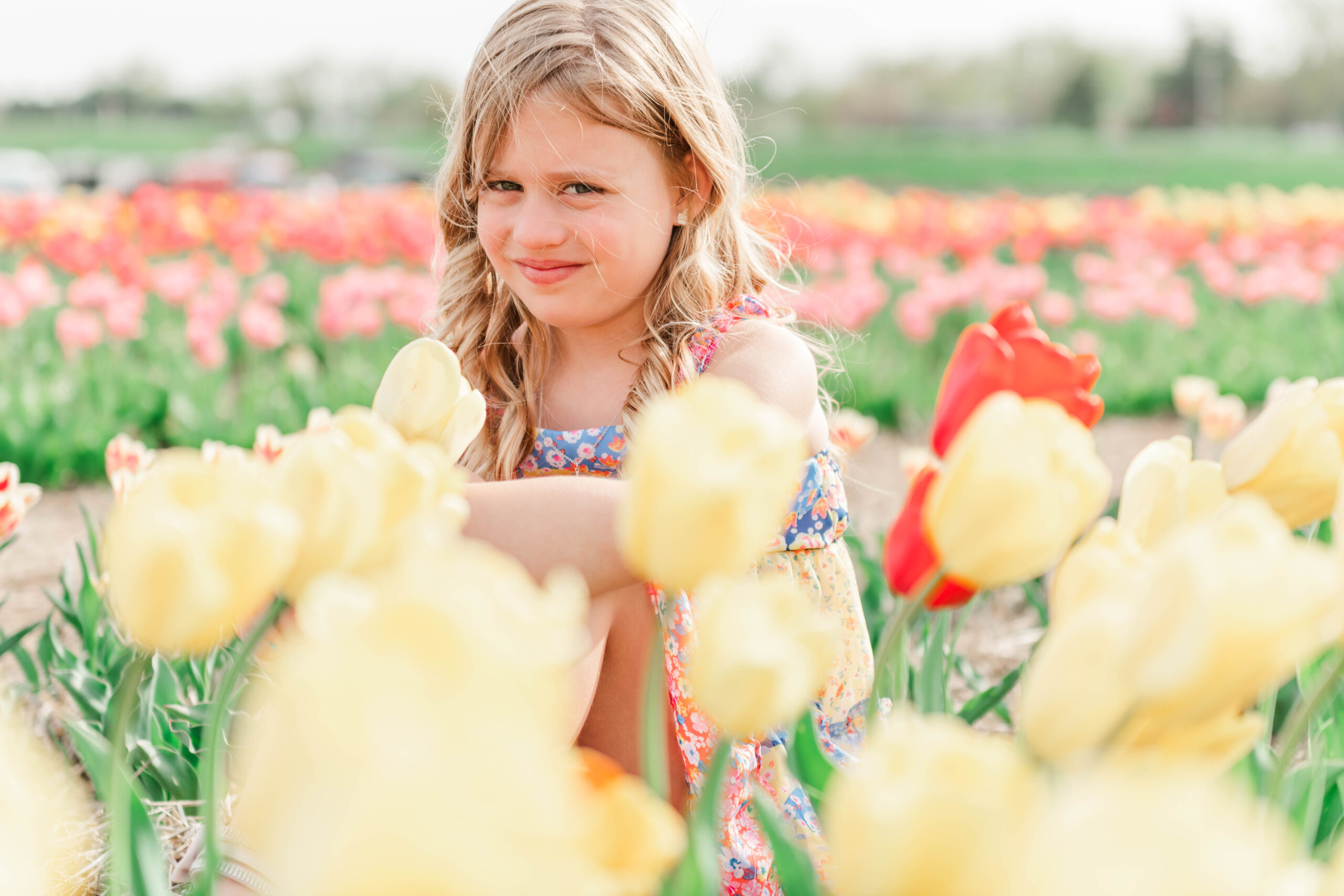 beautiful girl sitting in a tulip field smiling with colors surrounding her